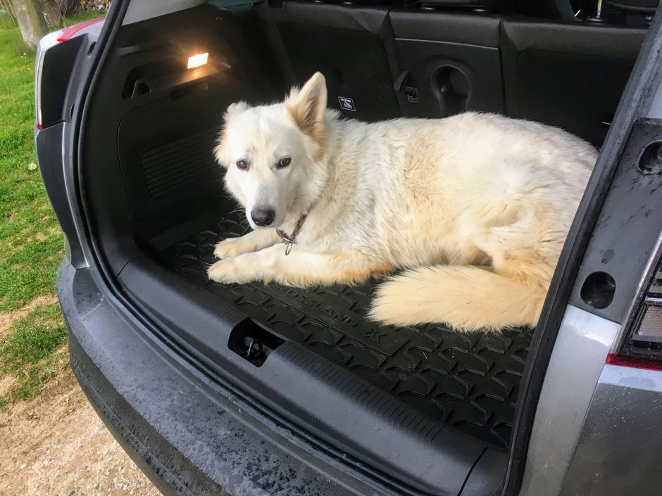 Opel Crossland X | Avtor: A. Š.