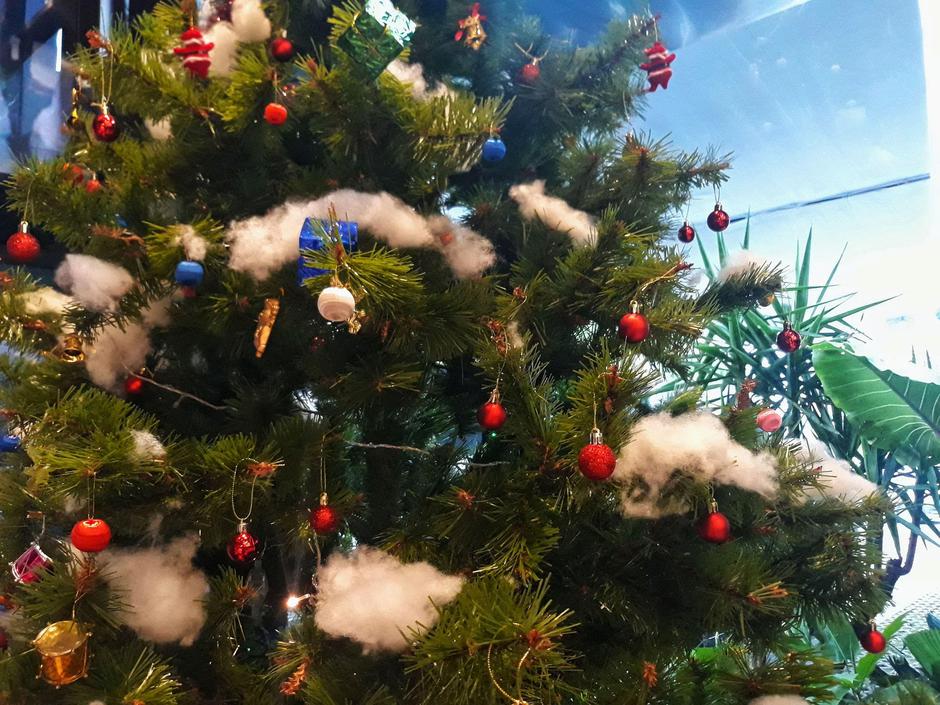 Božično drevo | Avtor: Profimedia