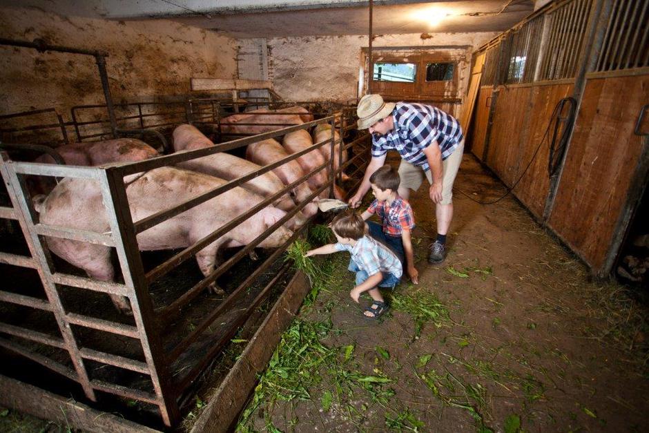 Turistične kmetije | Avtor: Arhiv STO/Jošt Gantar