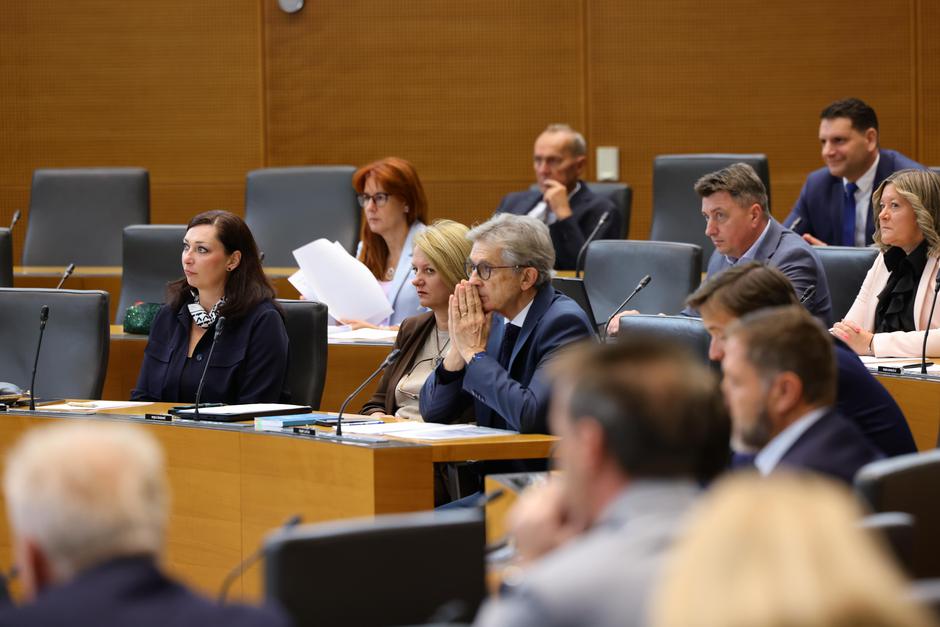 2. redna seja državnega zbora | Avtor: Državni zbor/Sušnik Matija