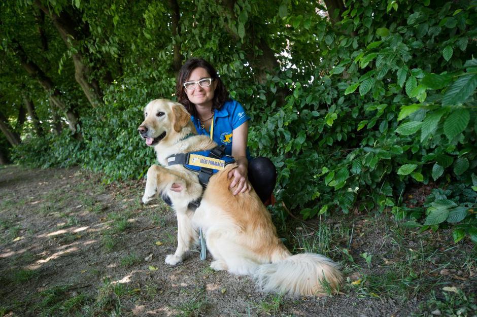 tačke pomagačke | Avtor: Anže Petkovšek