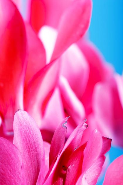 (Foto: Shutterstock)