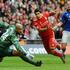 Suarez Howard Heitinga Liverpool Everton pokal FA polfinale London Wembley