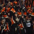 anaheim ducks