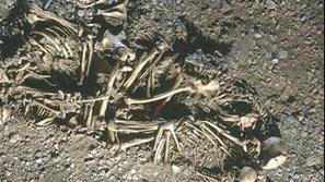 Okostja so bila med seboj prepletena.