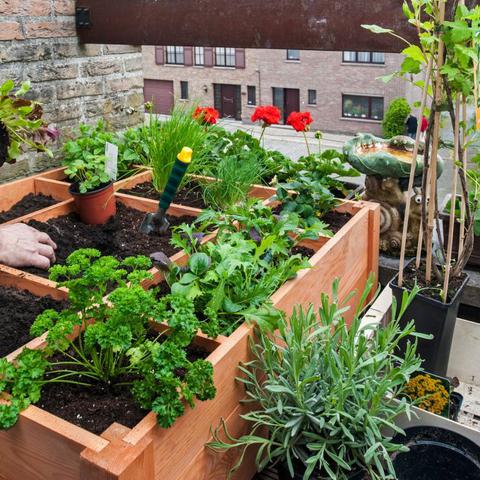 Vrtičkanje na balkonu