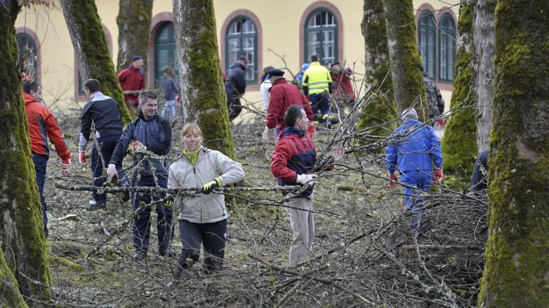 Žurnalova delovna brigada čiščenje gozda Snežnik