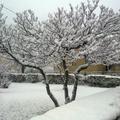 Sneg v Koroški Beli