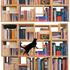 Knjižna polica 100% Cat Friendly Modular Bookshelf. Oblikovanje: Corentin Dombre
