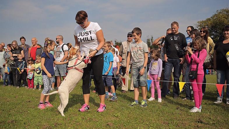 1. sejem za ljubitelje živali