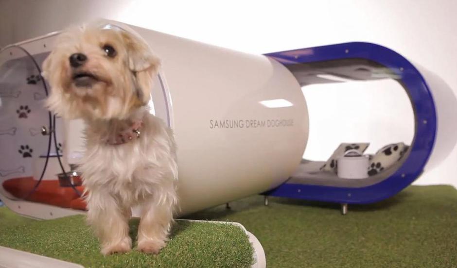 Samsung | Avtor: Samsung