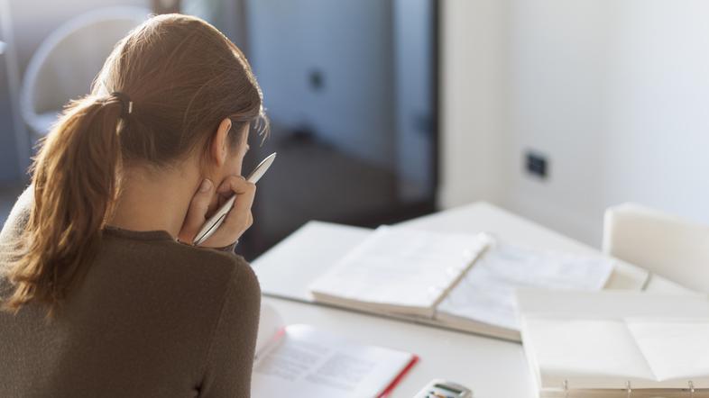 delo od doma, računalnik, ženska, denar