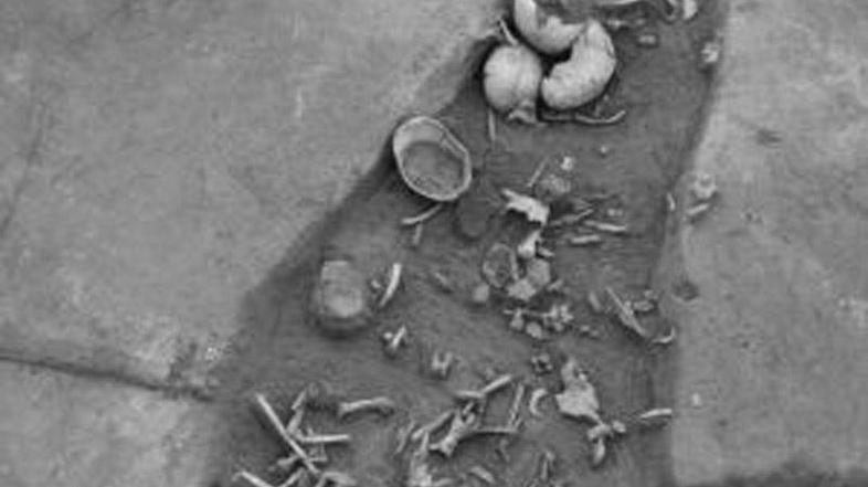 Znanstveniki so kosti preučevali kar tri leta. (Foto: Antiquity)