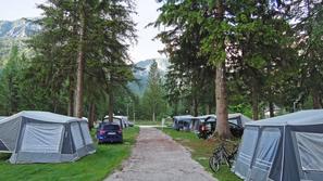 Freedom centra Celje