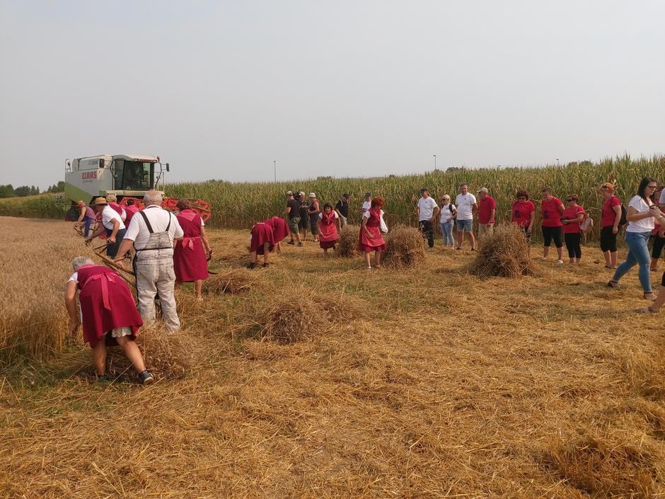 Visit Ravno polje | Avtor: Visit Ravno polje