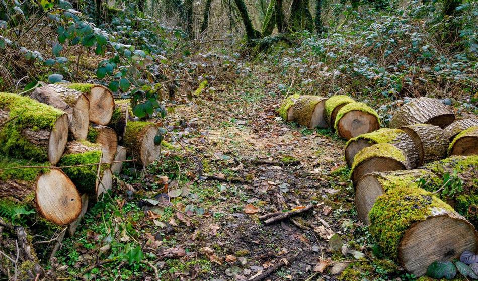 Huda nesreča pri delu: Umrl 44-letnik