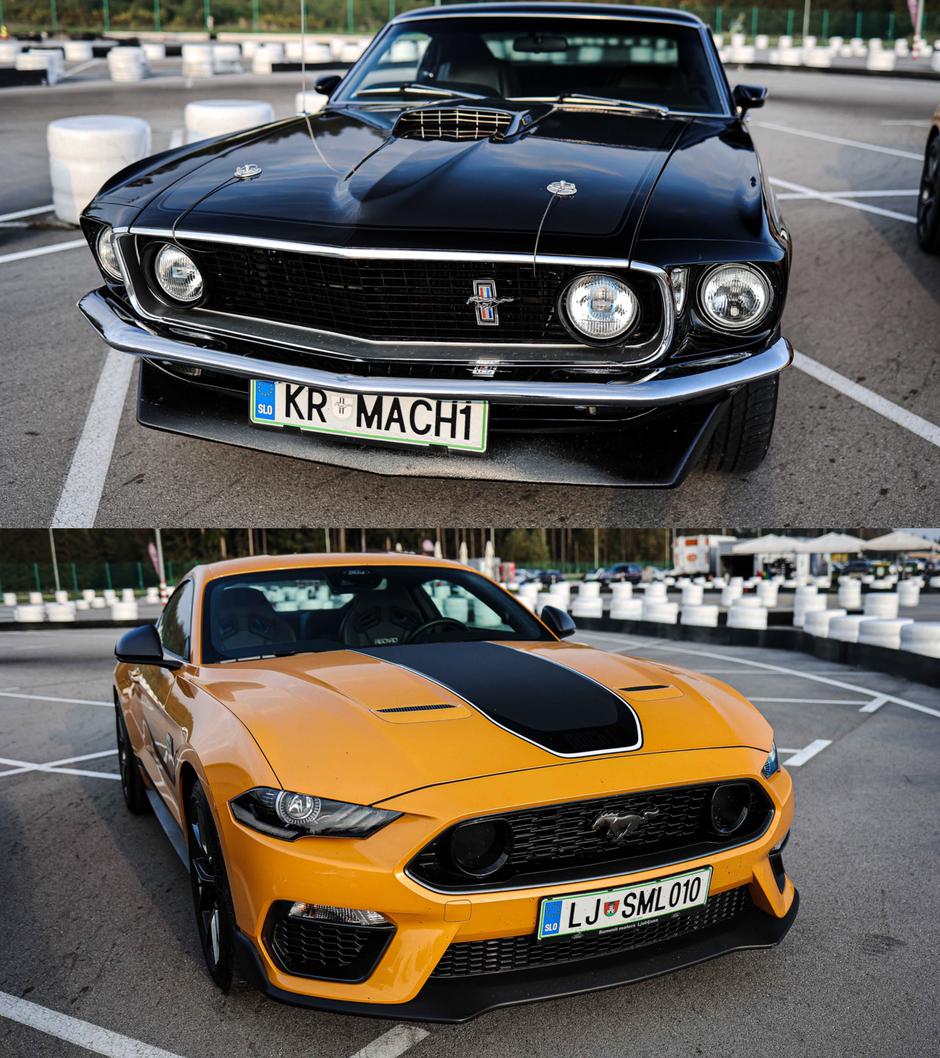 Mustang Mach 1 primerjava | Avtor: Saša Despot