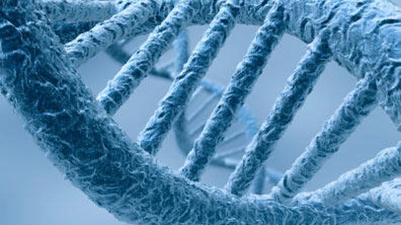 Placebo deluje na več načinov: preko genetike ali preko učinka pričakovanj in na