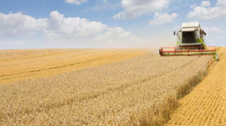 Naslednje leto bodo proizvajalci hrane zmanjšali količino proizvodnje.