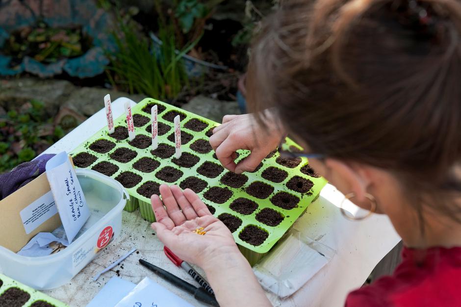 seme | Avtor: Profimedia