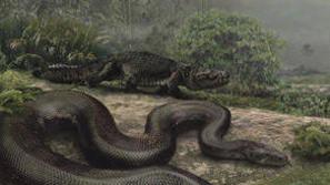 Bitje, ki je v dolžino merilo več kot londonski avtobus, velja za najdaljšo kačo