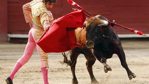 Kljub nevarnosti poklica, se redki matadorji poškodujejo. (Foto: Reuters)