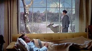 Vse, kar dovoli nebo