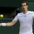Andy Murray Wimbledon polfinale
