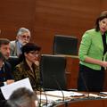 Slovenija 20.05.2013, Alenka Bratusek, redna seja DZ, velika dvorana, parlament,