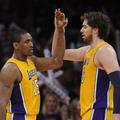 metta world peace pau gasol