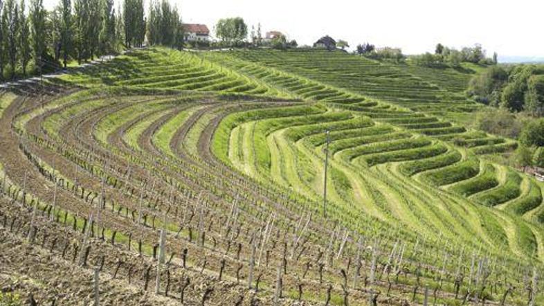 Pomurje se otepa z več kot 20-odstotno brezposelnostjo, kar je dvakrat več kot d