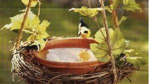 Vikend projekt: poletna ohladitev