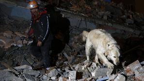 reševalni pes med iskanjem v ruševinah po potresu v Turčiji