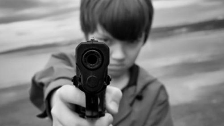 Američani so po številu kosov orožja, ki ga hranijo doma, rekorderji.