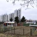 slovenija 29.01.08, vrtickarji, blokovsko naselje, BS, Vojkova, vrtovi, foto: De
