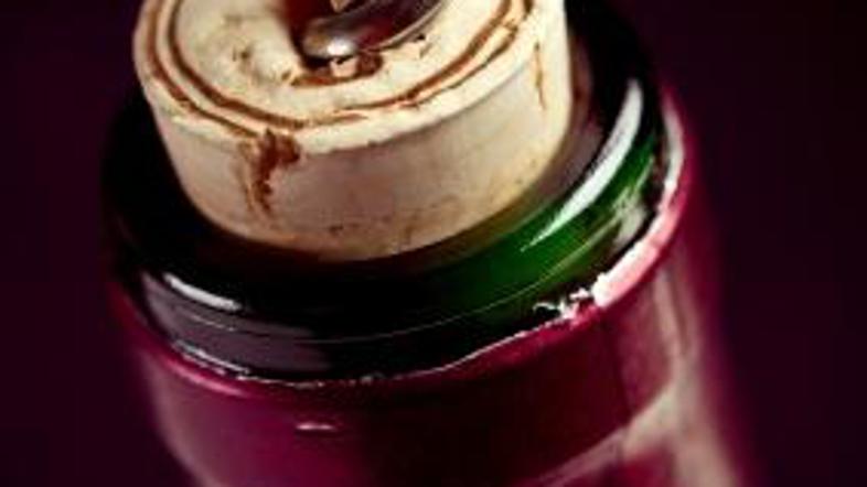 Katerega boste izbrali naslednjič?