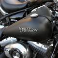 Harley Davidson