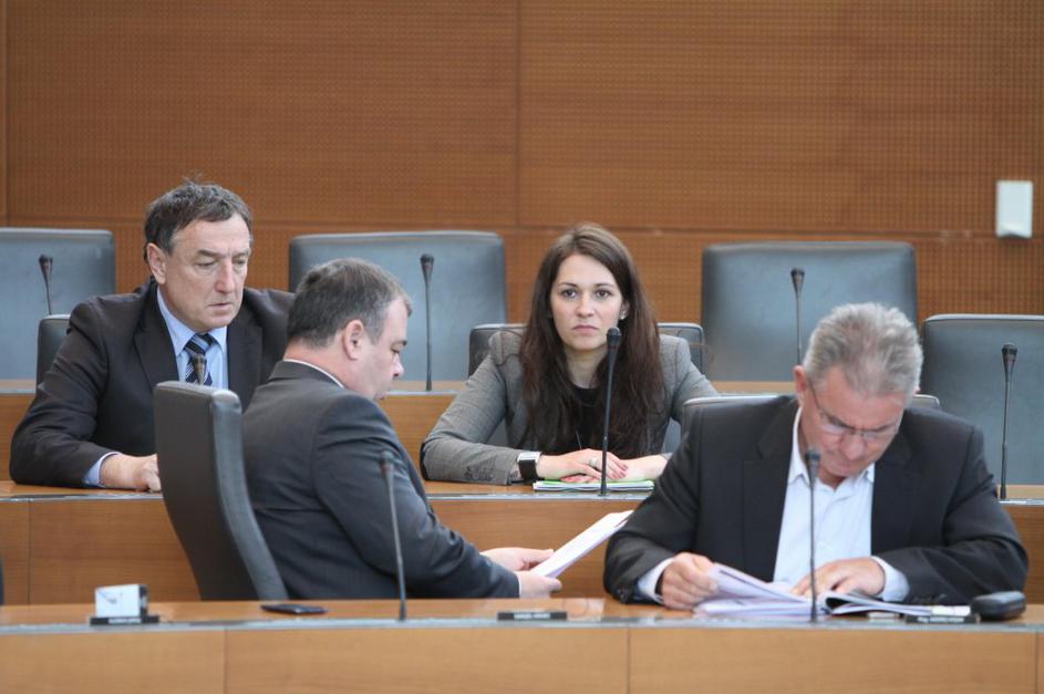 državni zbor poslanci Janja Napast