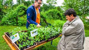 bolšji sejem rastlin