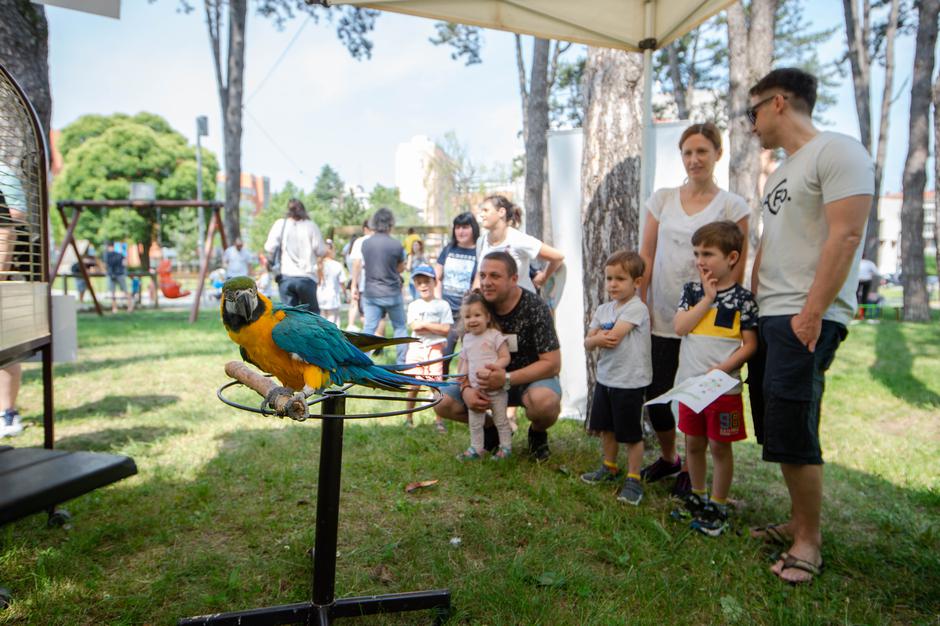 Festival za ljubitelje živali | Avtor: Anže Petkovšek