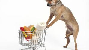 Psi lahko zdaj nakupujejo po mili volji, lastnik pa bo poravnal račun.