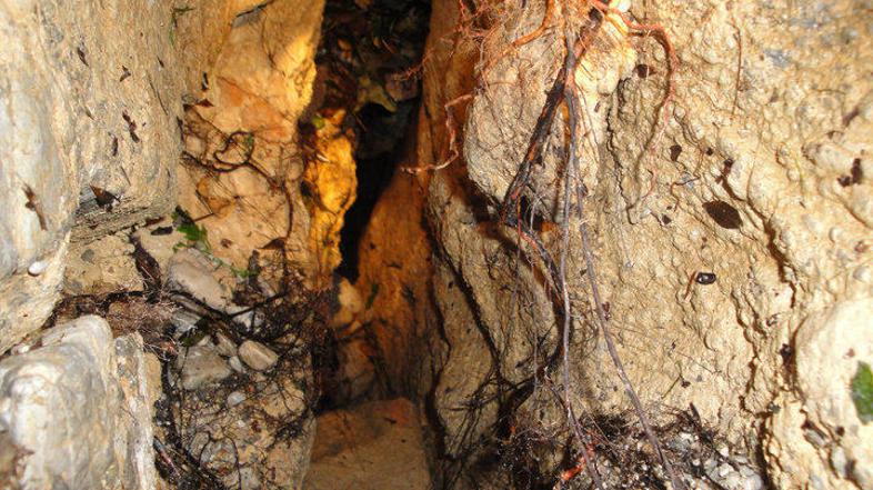 reka Iška, Iška vas