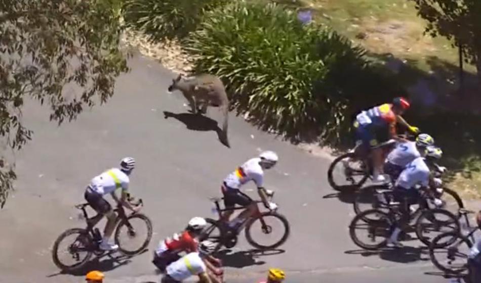 Pogačarjev kolega preživel dramo za drugi naslov v Avstraliji