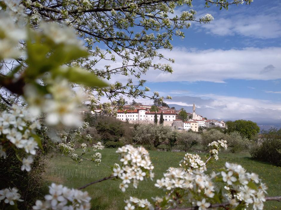 Štanjel | Avtor: Ivana Žigon