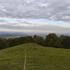 Turistična kmetija Kuren, damjaki