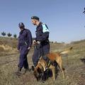 Grški policisti patruljirajo na delu meje s Turčijo, blizu mesta Orestiada. (Fot