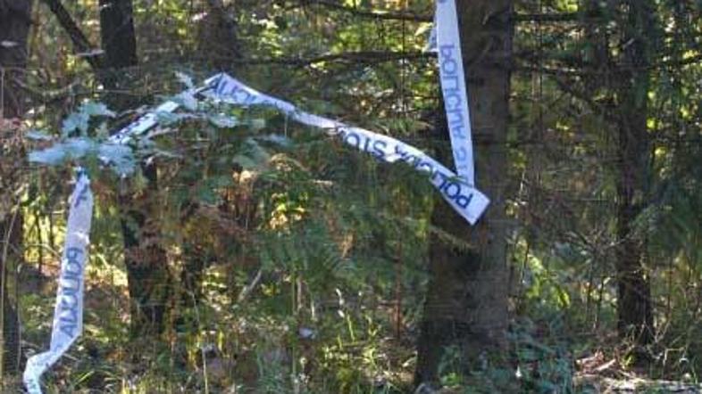 Voznik je zapeljal s ceste v potok in na kraju nesreče umrl.