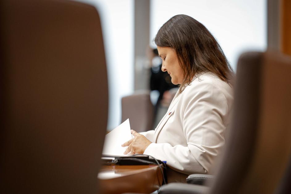 Suzana Lep Šimenko