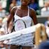 Wimbledon 2010 četrtfinale ženske Venus Williams