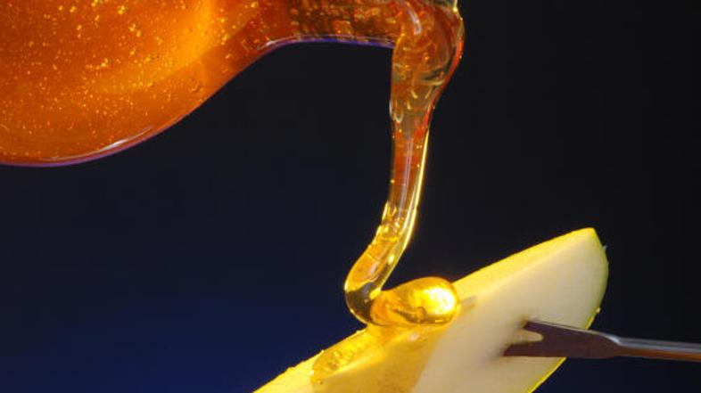 Zdravila iz panja. (Foto: iStockphoto)